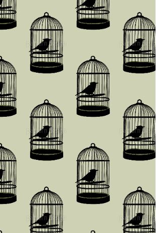 birds-in-cage-1