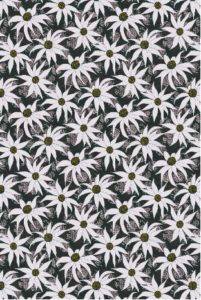 flannel-flowers-1
