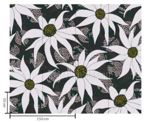 flannel-flowers-2-echelle