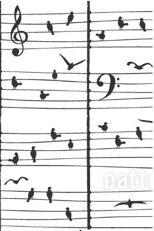 music-birds-1