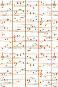 music-birds-2