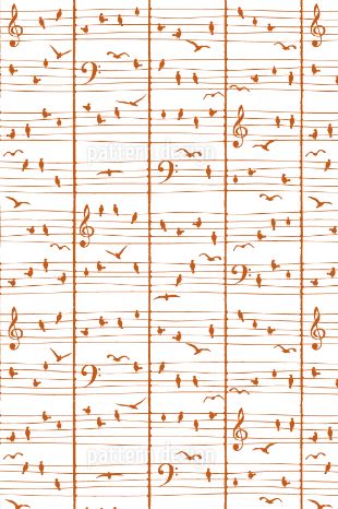 music-birds-2