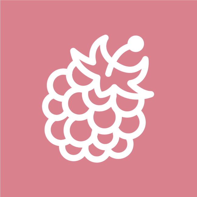 roseimgcouleur_framboise