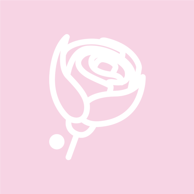 roseimgcouleur_rose