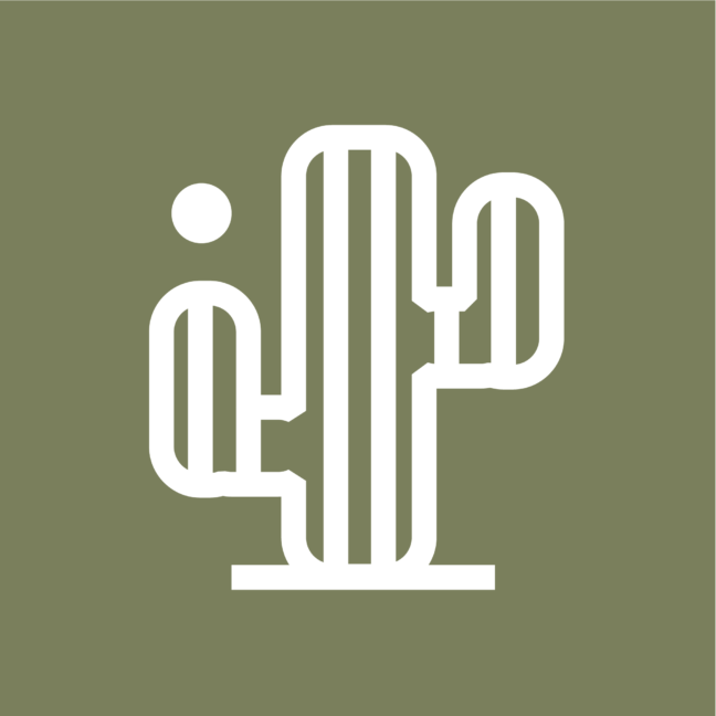 vertimgcouleur_cactus7a7f5c