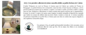 CP colette 2 sur 2