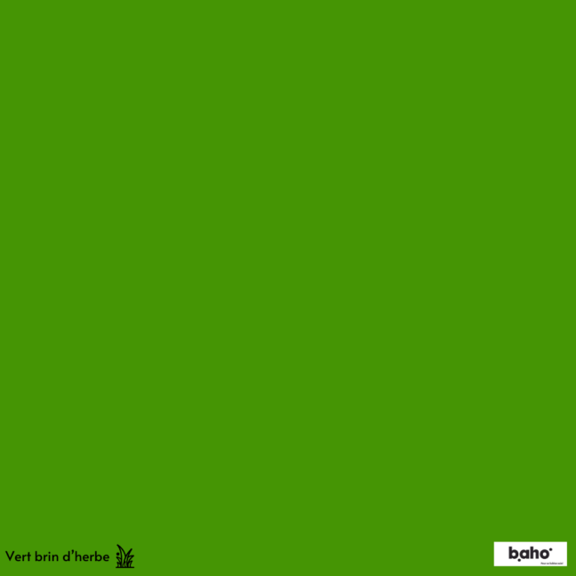 003-1VERT-BRIN-HERBE-G.JPG