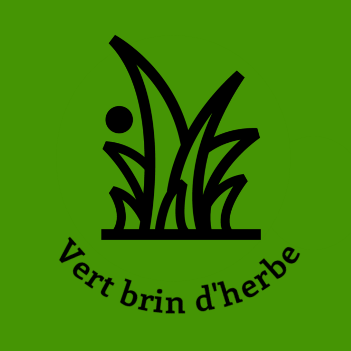 003-1VERT-BRIN-HERBE.JPG