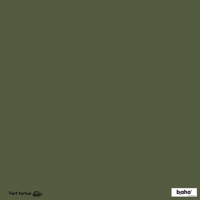 008-1VERT-TORTUE-G.JPG