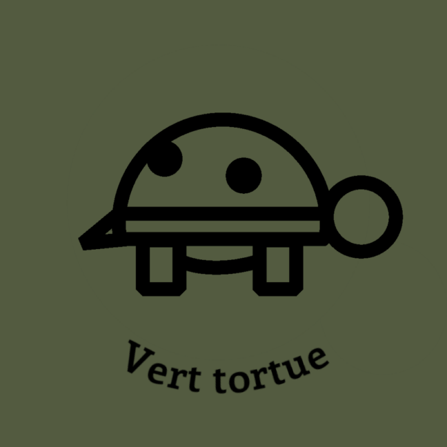 008-1VERT-TORTUE.JPG
