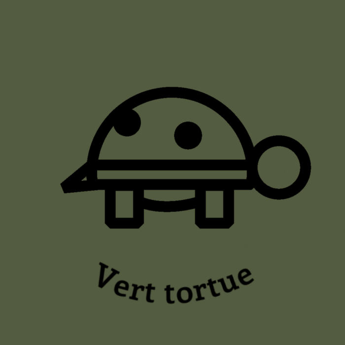 008-1VERT-TORTUE.JPG