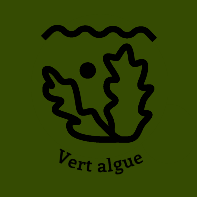 010-1VERT-ALGUE.JPG