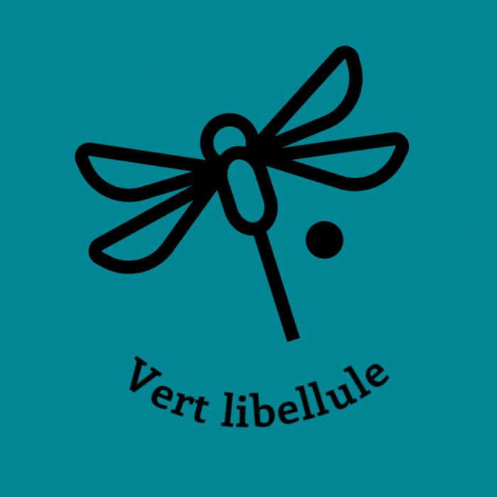 011-1VERT-LIBELLULE.JPG