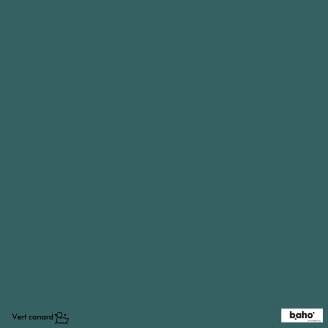 013-1VERT-CANARD-G.JPG