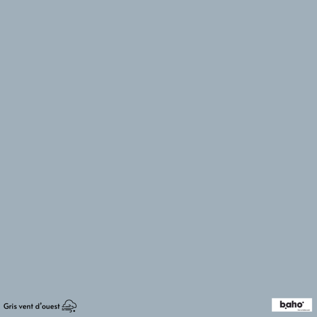 016-1GRIS-VENT-D-OUEST-G.JPG