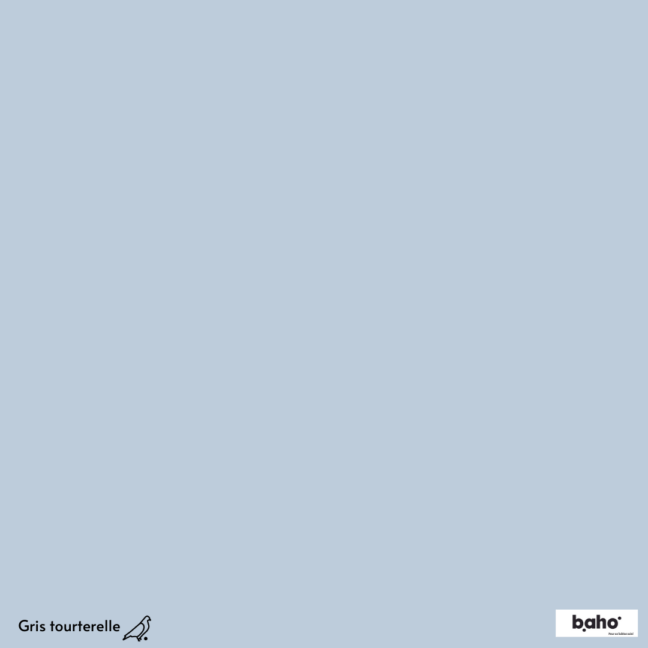 017-1GRIS-TOURTERELLE-G.JPG