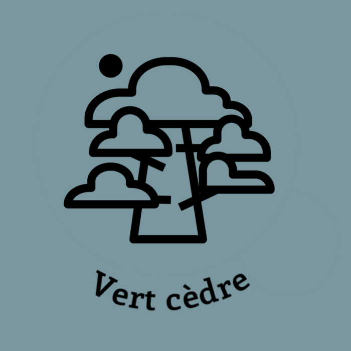 020-1VERT-CEDRE.JPG