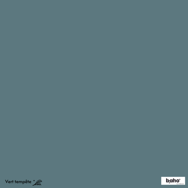 021-1VERT-TEMPETE-G.JPG