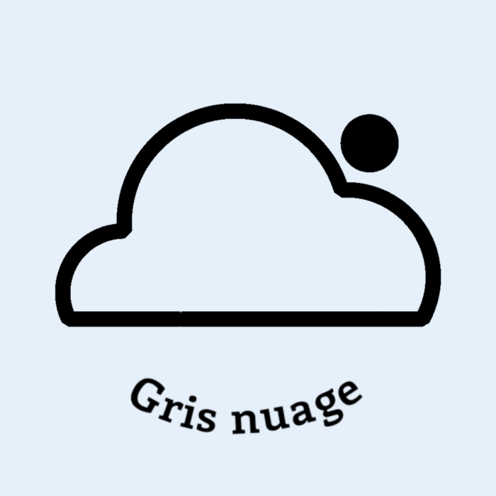 024-1GRIS-NUAGE.JPG