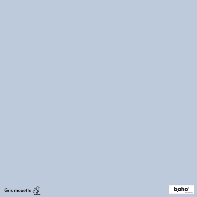 025-1GRIS-MOUETTE-G.JPG