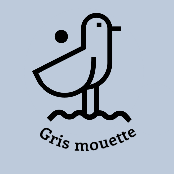 025-1GRIS-MOUETTE.JPG