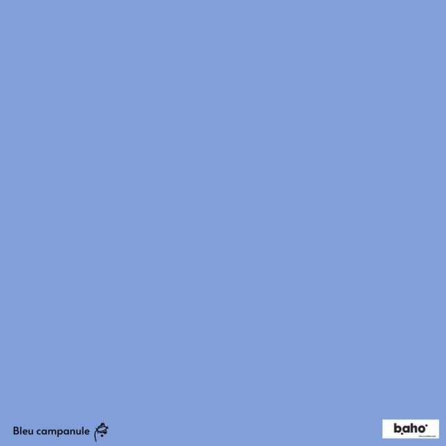 026-1BLEU-CAMPANULE-G.JPG