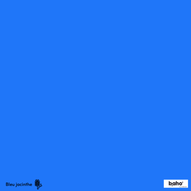 028-1BLEU-JACINTHE-G.JPG
