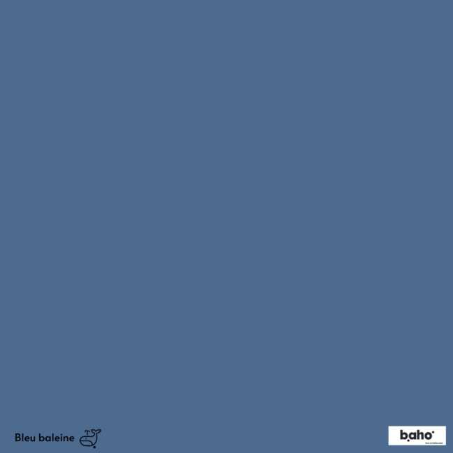 029-1BLEU-BALEINE-G.JPG