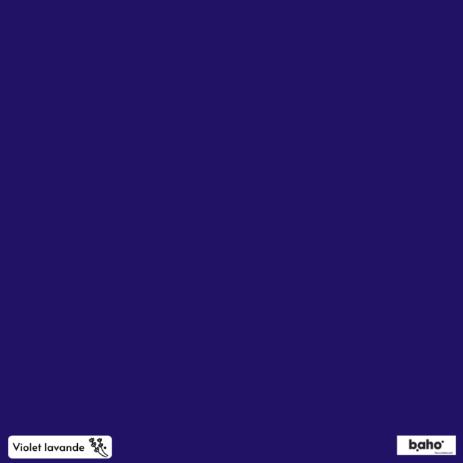 031-1VIOLET-LAVANDE-G.JPG