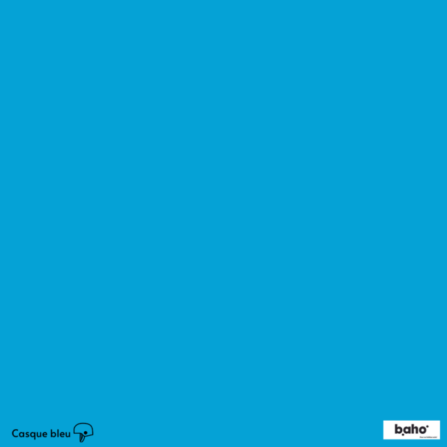 037-1CASQUE-BLEU-G.JPG