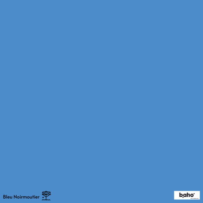 038-1BLEU-NOIRMOUTIER-G.JPG
