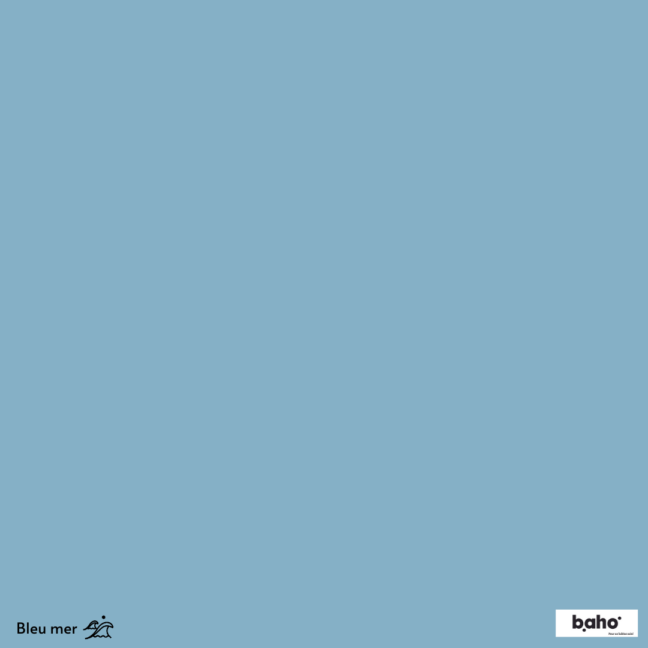 039-1BLEU-MER-G.JPG