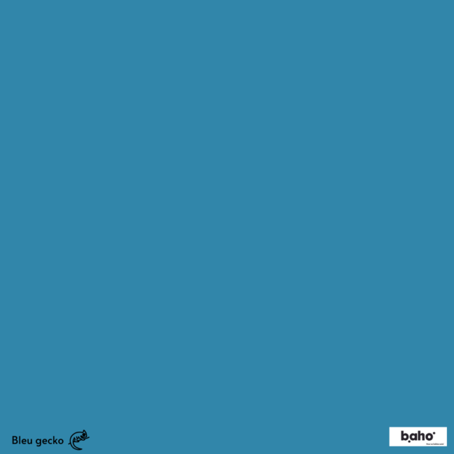 040-1BLEU-GECKO-G.JPG