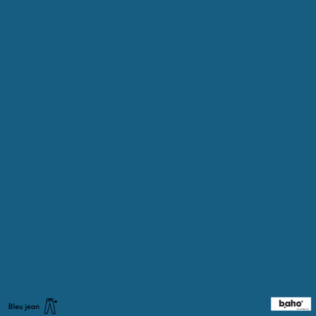 041-1BLEU-JEAN-G.JPG