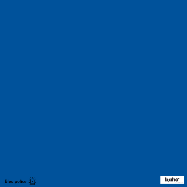 044-1BLEU-POLICE-G.JPG