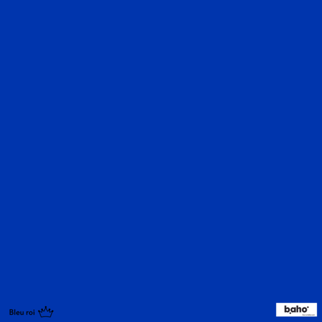 045-1BLEU-ROI-G.JPG