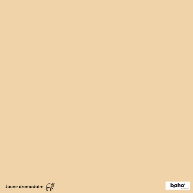 047-1JAUNE-DROMADAIRE-G.JPG