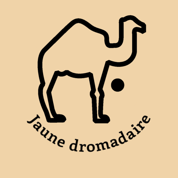 047-1JAUNE-DROMADAIRE.JPG