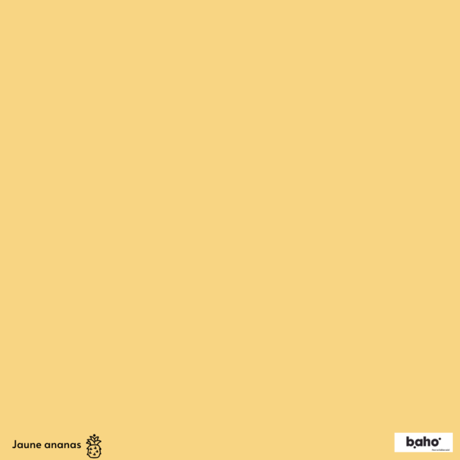 048-1JAUNE-ANANAS-G.JPG