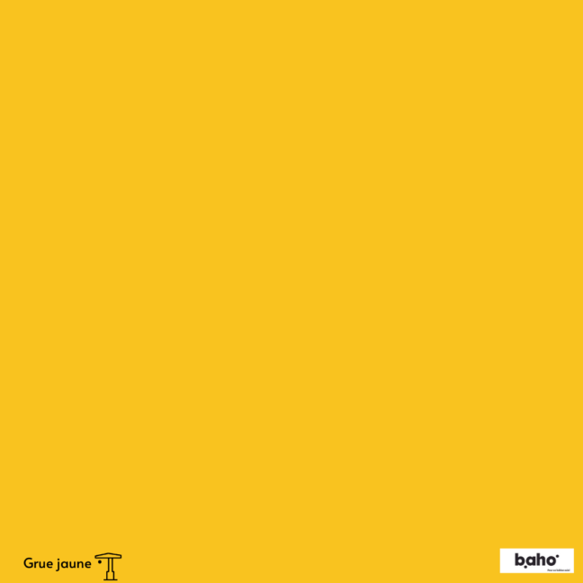 052-1JAUNE-GRUE-G.JPG