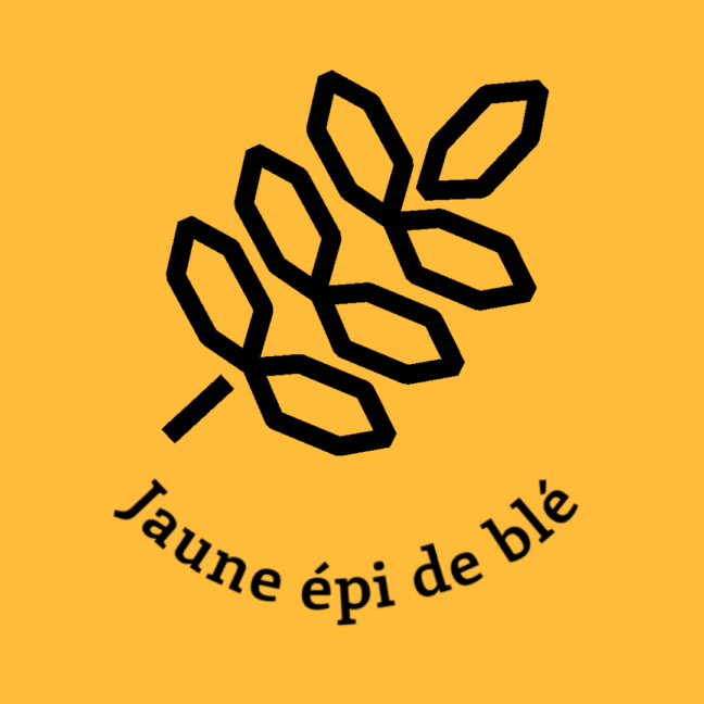 054-1JAUNE-EPI-DE-BLE.JPG