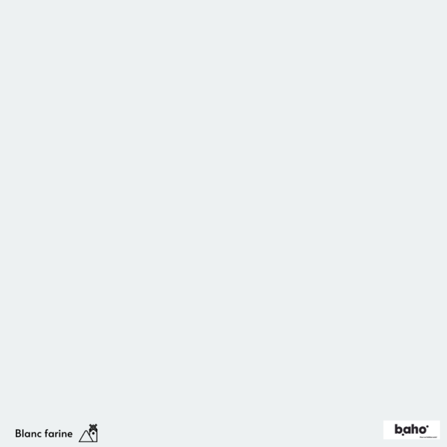 058-1BLANC-FARINE-G.JPG