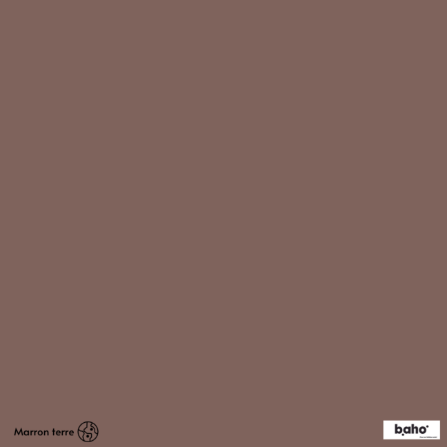 065-1MARRON-TERRE-G.JPG