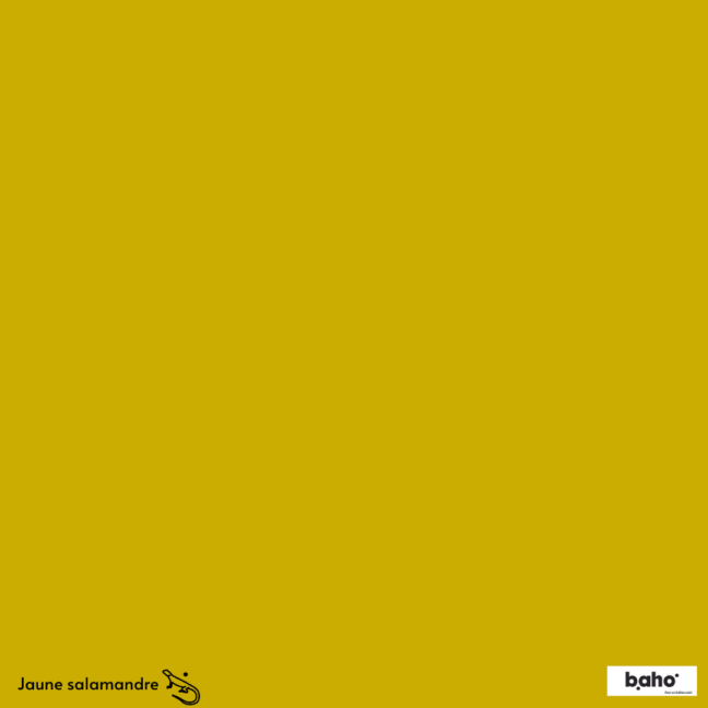 076-1JAUNE-SALAMANDRE-G.JPG