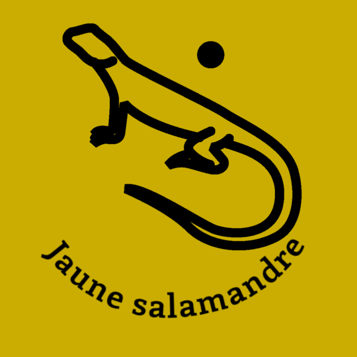076-1JAUNE-SALAMANDRE.JPG