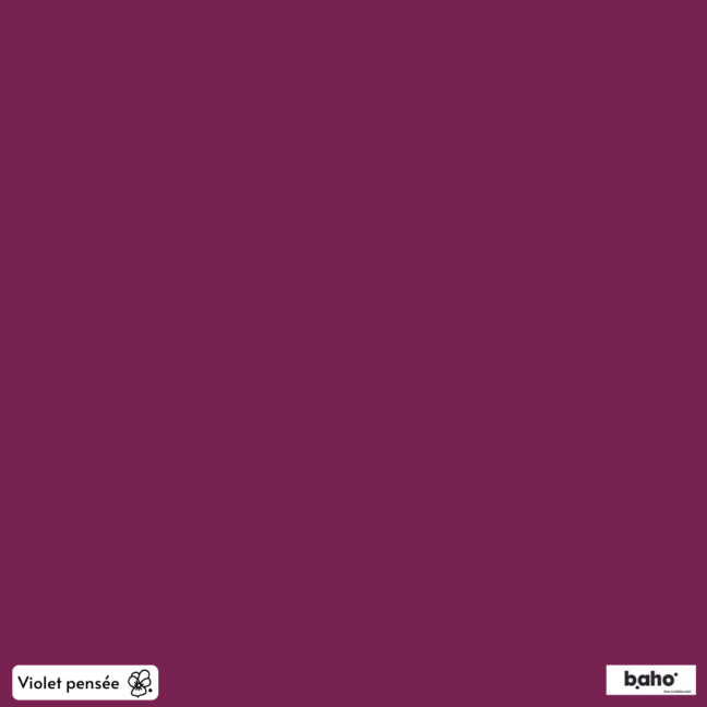 084-1VIOLET-PENSEE-G.JPG