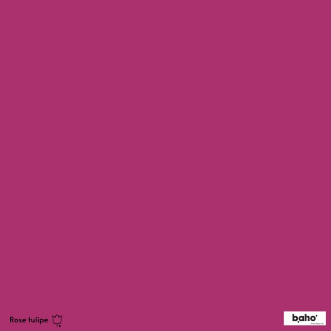 085-1ROSE-TULIPE-G.JPG