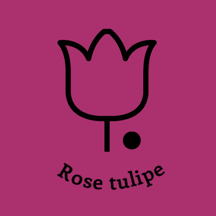 085-1ROSE-TULIPE.JPG