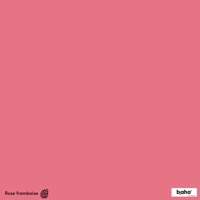 087-1ROSE-FRAMBOISE-G.JPG