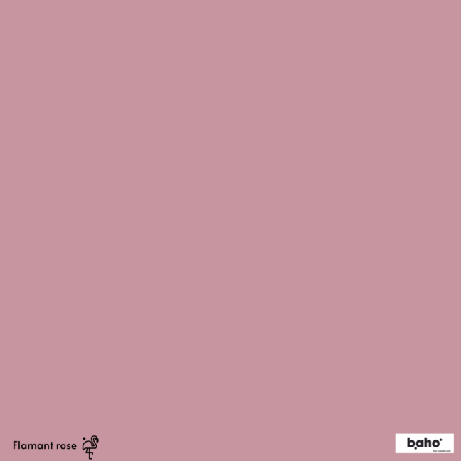 093-1FLAMANT-ROSE-G.JPG